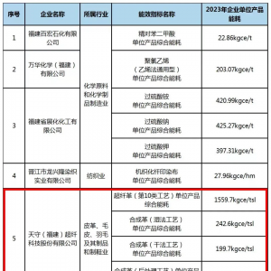 喜报！天守超纤荣获省级能效“领跑者”标杆企业