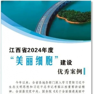 广源新材料公司获评2024年度江西省“美丽工厂”