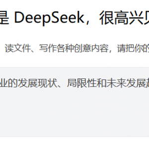 对话Deepseek：2025年中国人造革合成革行业如何发展？